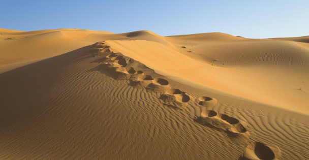 United Arab Emirates, Dubai, Rub al-Khali desert, the empty quarter, footprints